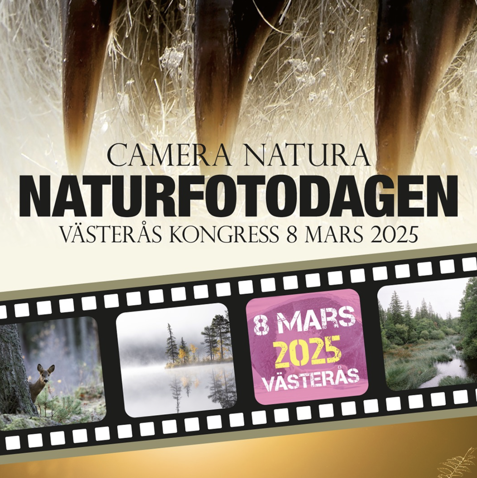 Naturfotodagen 8 mars Västerås