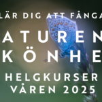 Nu är det dags för vårens naturfotokurser
